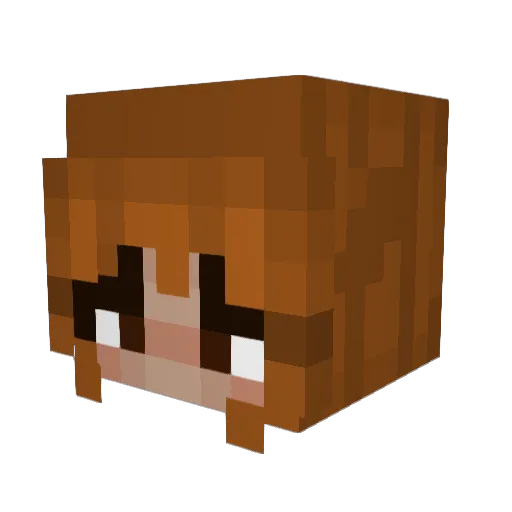 averyyyyyyyyyy4 Minecraft avatar head, 3D render