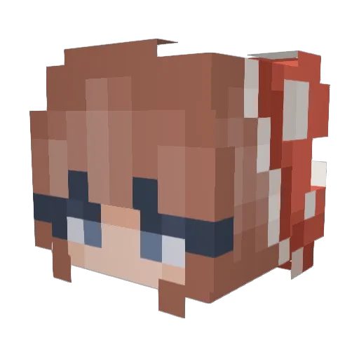 avg_wallflower Minecraft avatar head, 3D render