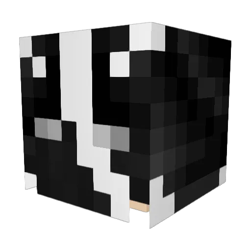 avgamer12 Minecraft avatar head, 3D render