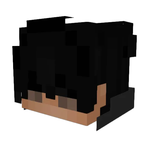 avisioner Minecraft avatar head, 3D render
