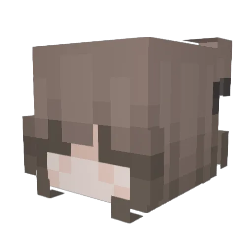 avm0ur Minecraft avatar head, 3D render