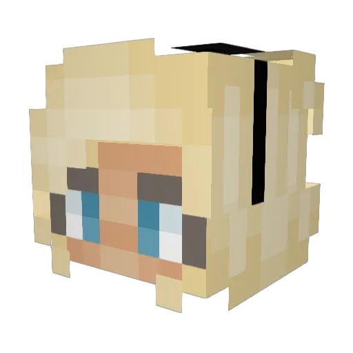 avocado111808 Minecraft avatar head, 3D render