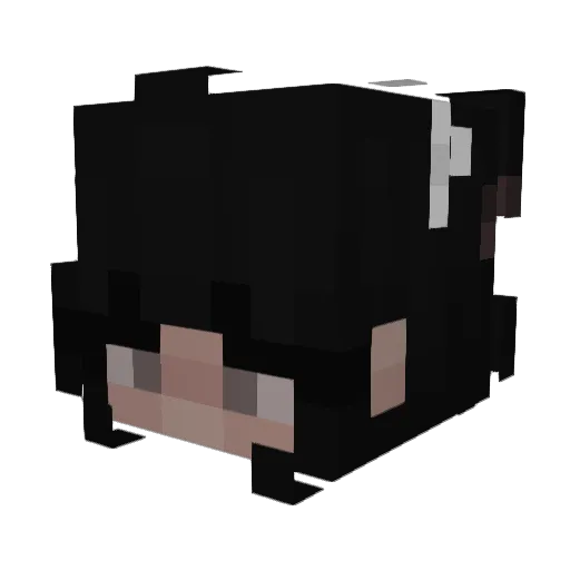 avocado264 Minecraft avatar head, 3D render