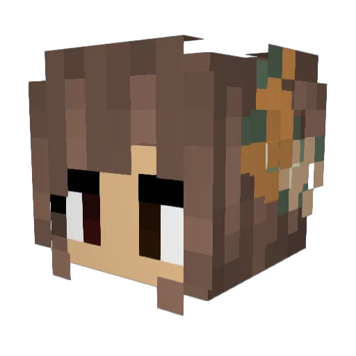 avocado_toast_ Minecraft avatar head, 3D render