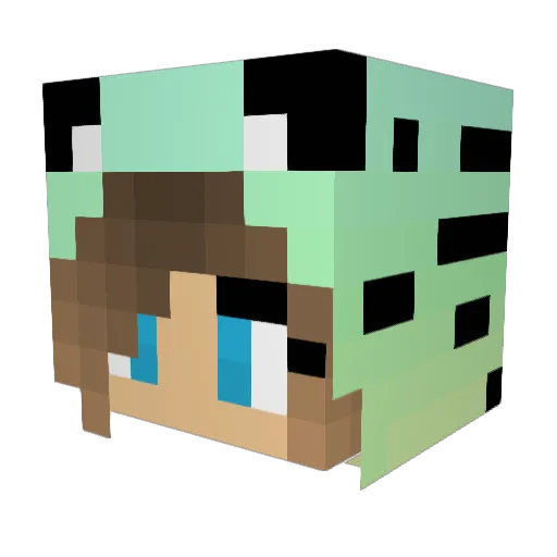 avocadohater Minecraft avatar head, 3D render