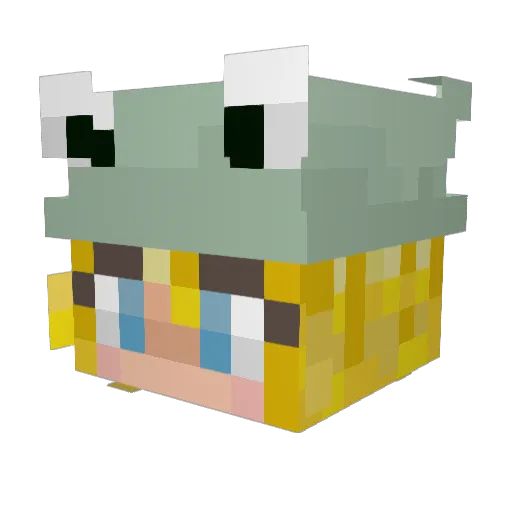 avocadokatz_e Minecraft avatar head, 3D render