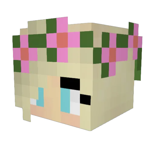 avocadonugget Minecraft avatar head, 3D render