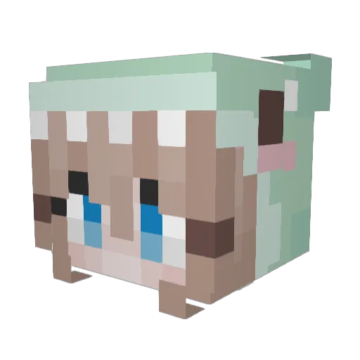 avocadottoast Minecraft avatar head, 3D render