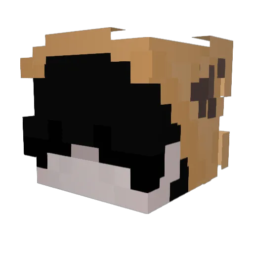 avohn Minecraft avatar head, 3D render