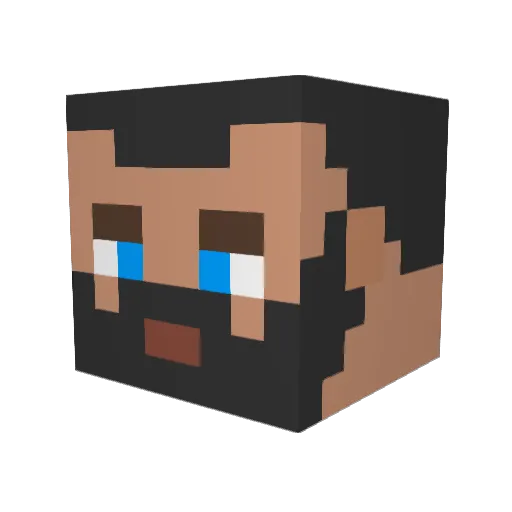 avrules201 Minecraft avatar head, 3D render