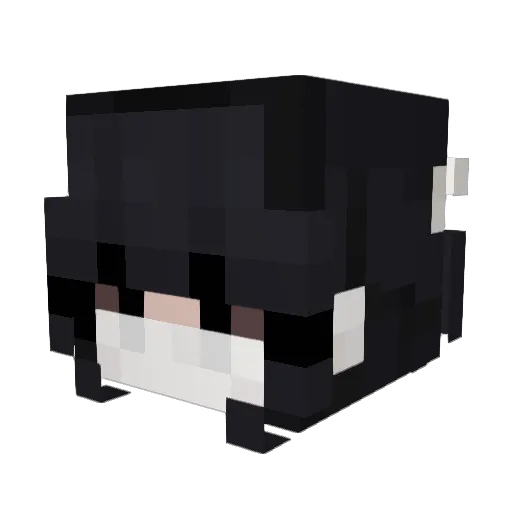 avyns Minecraft avatar head, 3D render