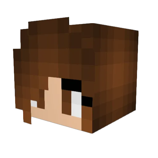 awags1013 Minecraft avatar head, 3D render