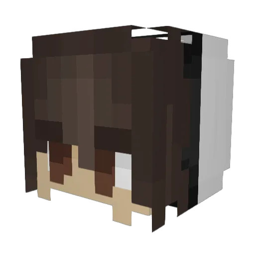 awasteofspoons Minecraft avatar head, 3D render
