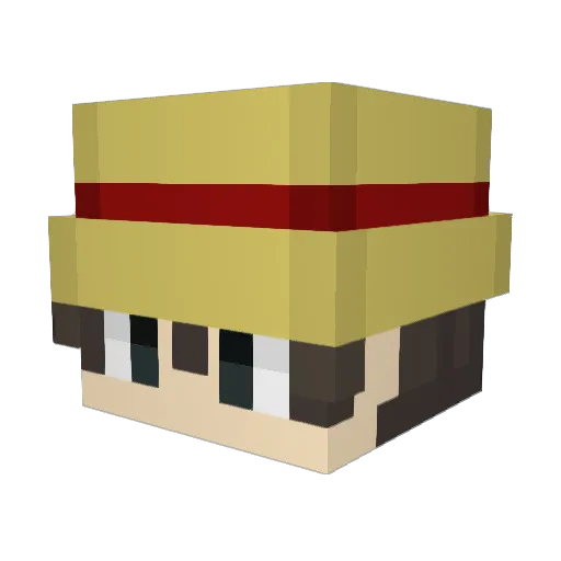 awdh305 Minecraft avatar head, 3D render