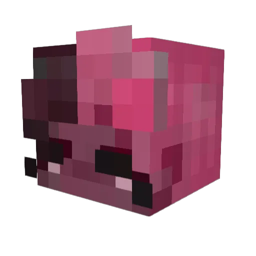 awdsef Minecraft avatar head, 3D render