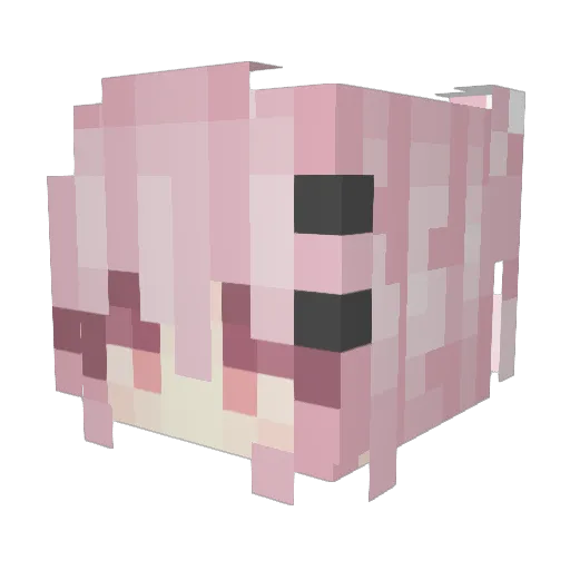 awdssw Minecraft avatar head, 3D render