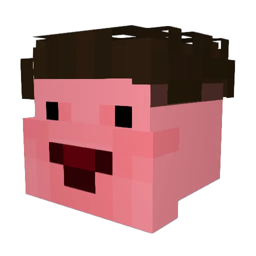 awdwa0uag Minecraft avatar head, 3D render