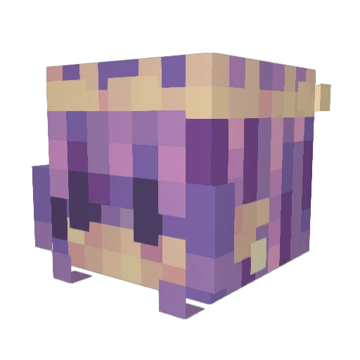 aweeshaa Minecraft avatar head, 3D render