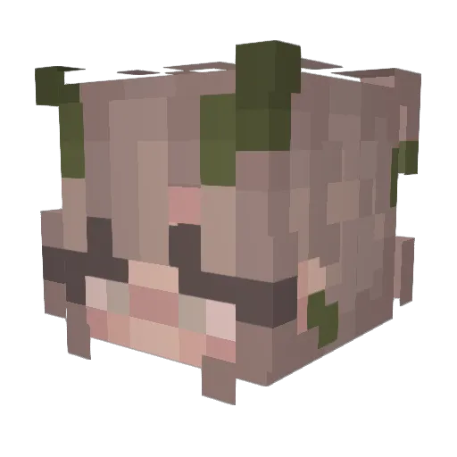 awempe Minecraft avatar head, 3D render