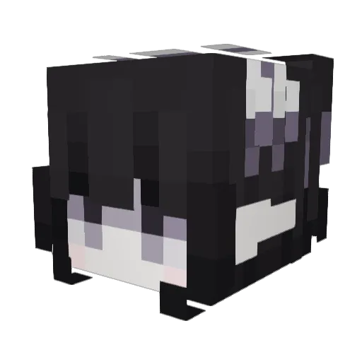 aweona Minecraft avatar head, 3D render