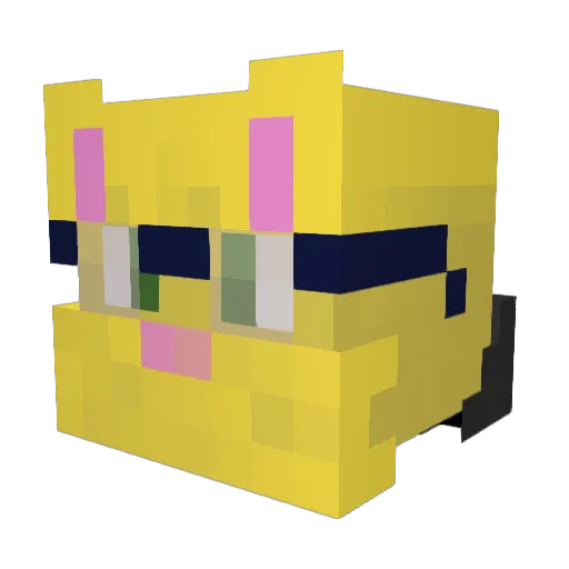 awes0mecat Minecraft avatar head, 3D render