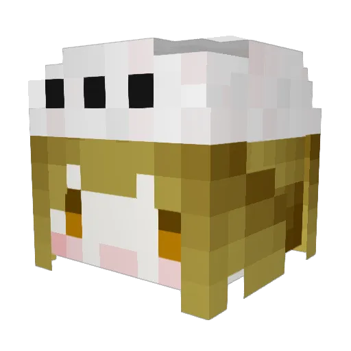 awesome0421 Minecraft avatar head, 3D render