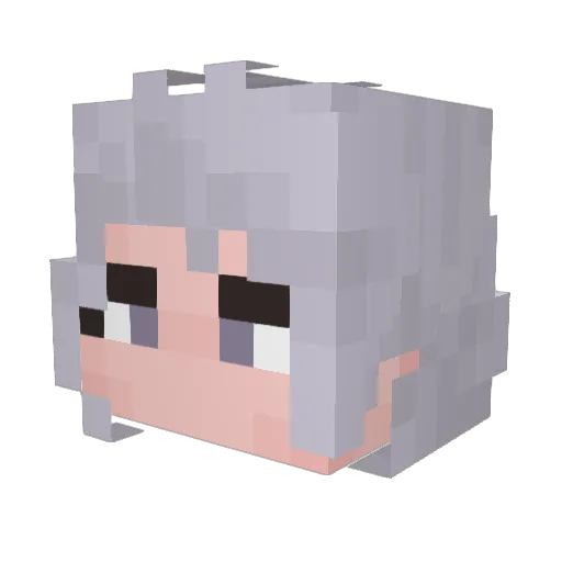 awesome2ninja88 Minecraft avatar head, 3D render