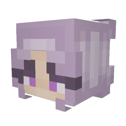 awesome_cookies Minecraft avatar head, 3D render