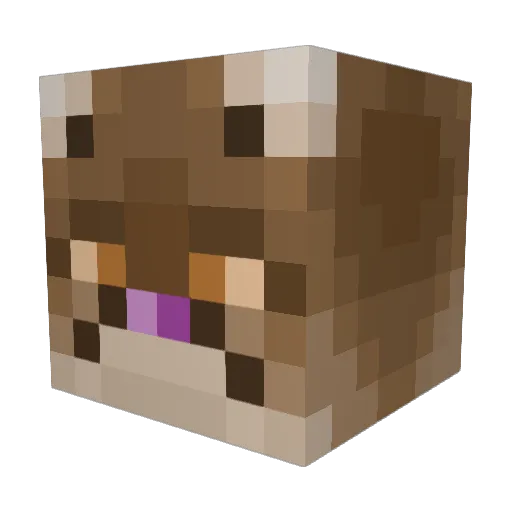 awesomeainsleyp Minecraft avatar head, 3D render