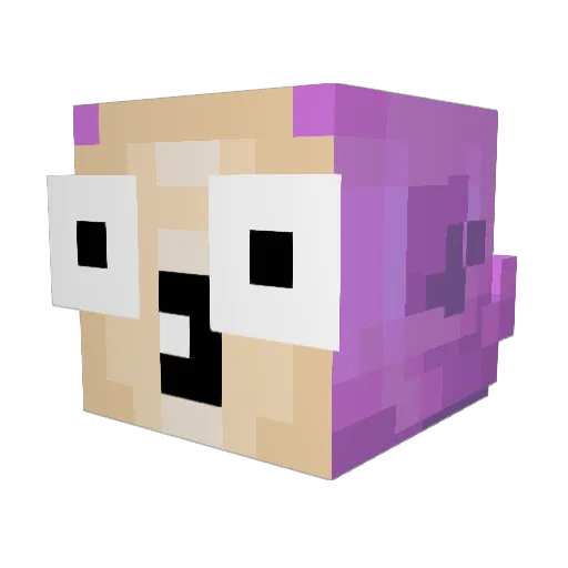 awesomeajc2 Minecraft avatar head, 3D render