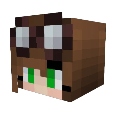 awesomeblebee Minecraft avatar head, 3D render
