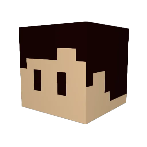 awesomebro117 Minecraft avatar head, 3D render