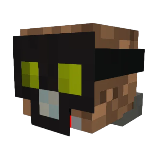 awesomebro135 Minecraft avatar head, 3D render