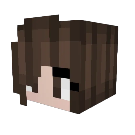 awesomecrafter37 Minecraft avatar head, 3D render