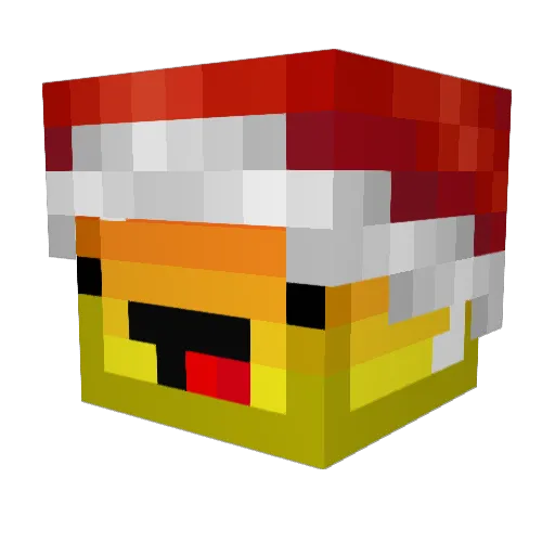 awesomeekid Minecraft avatar head, 3D render