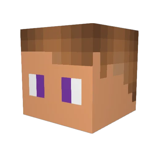awesomeguy3300 Minecraft avatar head, 3D render