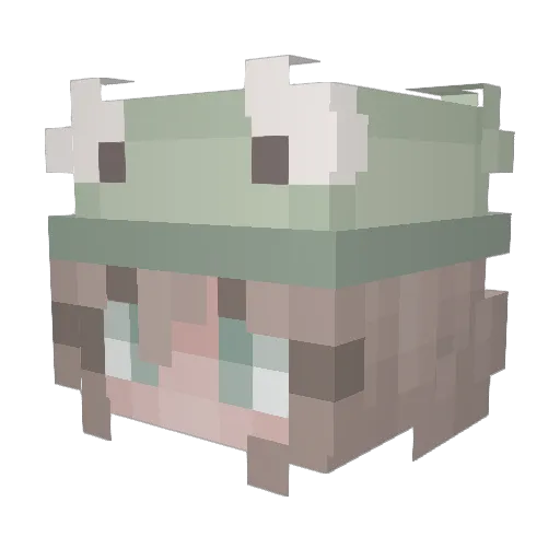 awesomejaiden Minecraft avatar head, 3D render