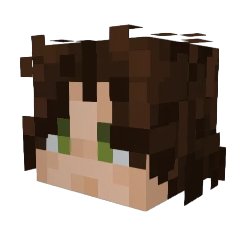 awesomejett1 Minecraft avatar head, 3D render