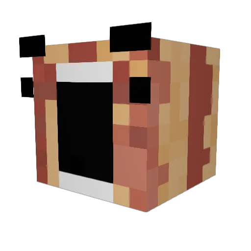 awesomejoe5 Minecraft avatar head, 3D render