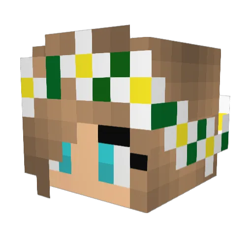 awesomelady64 Minecraft avatar head, 3D render