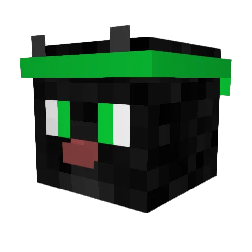 awesomeninjacat Minecraft avatar head, 3D render