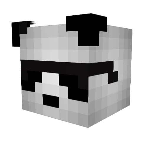 awesomepanda170 Minecraft avatar head, 3D render