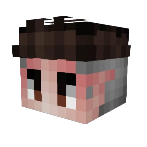 awesomepickel03 Minecraft avatar head, 3D render