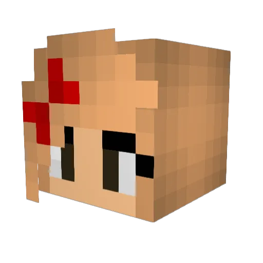 awesomepig10 Minecraft avatar head, 3D render
