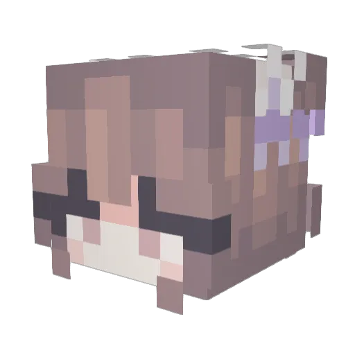 awesoooome Minecraft avatar head, 3D render