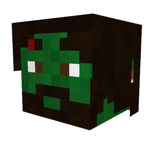 awesumnitz Minecraft avatar head, 3D render