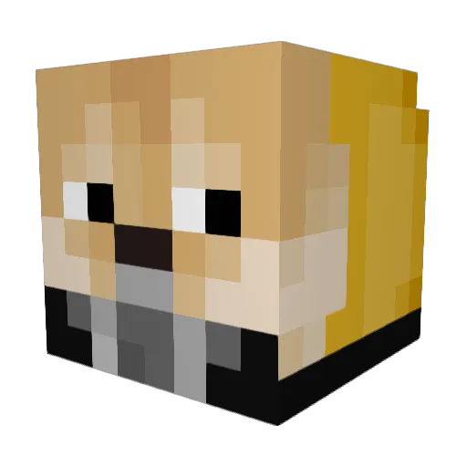 awhkqt Minecraft avatar head, 3D render