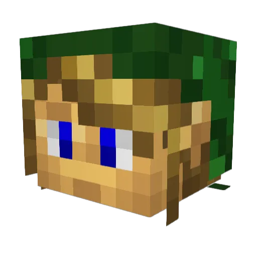 awkwardwbu Minecraft avatar head, 3D render