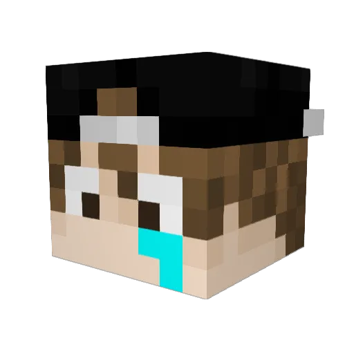 awnesia Minecraft avatar head, 3D render