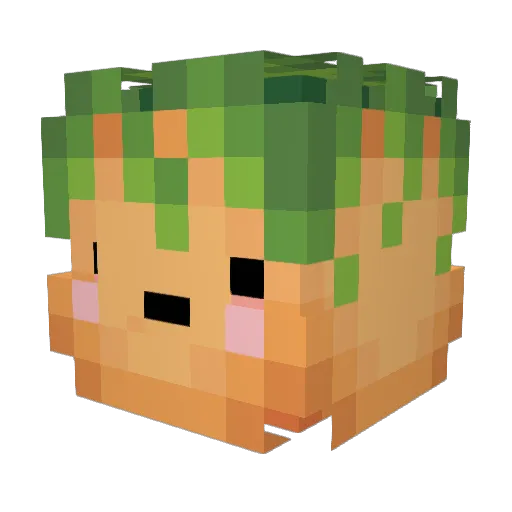 awoKen_ken Minecraft avatar head, 3D render